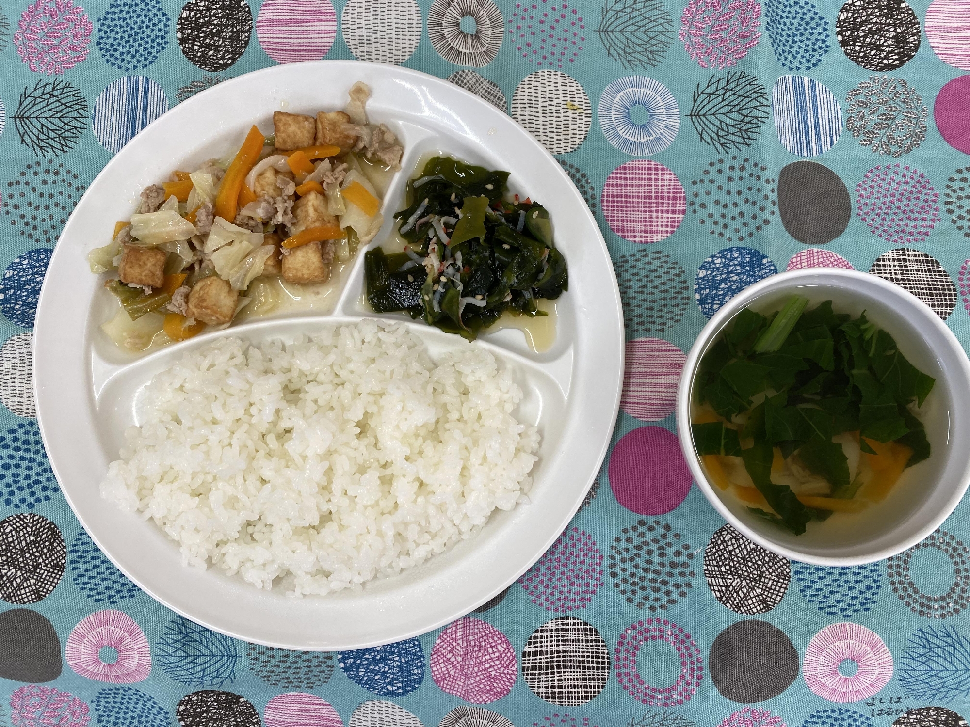 6/20(木) 豚肉と生揚げの味噌炒め