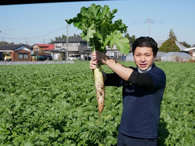 11/15(月) 大根抜きを行いました!!